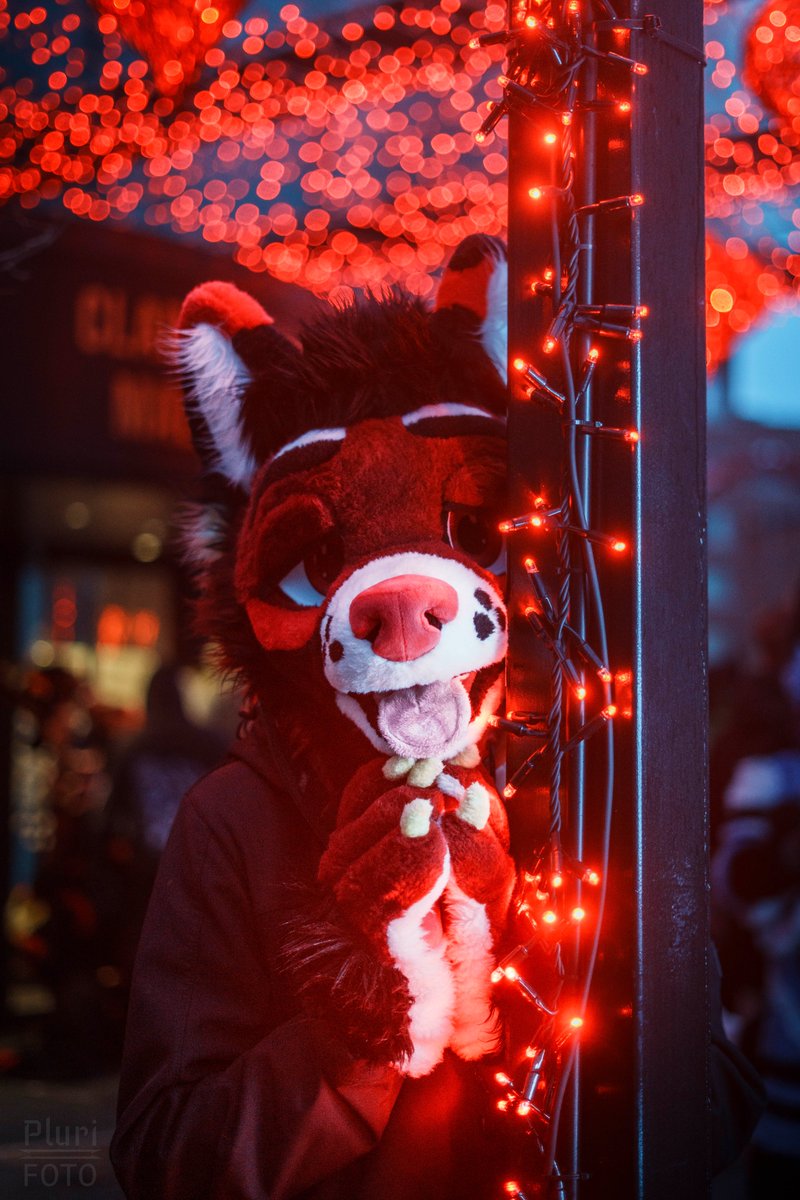 Pluri-Foto tweet media