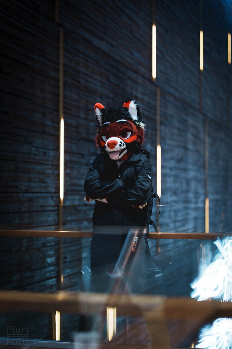 Pluri-Foto tweet media