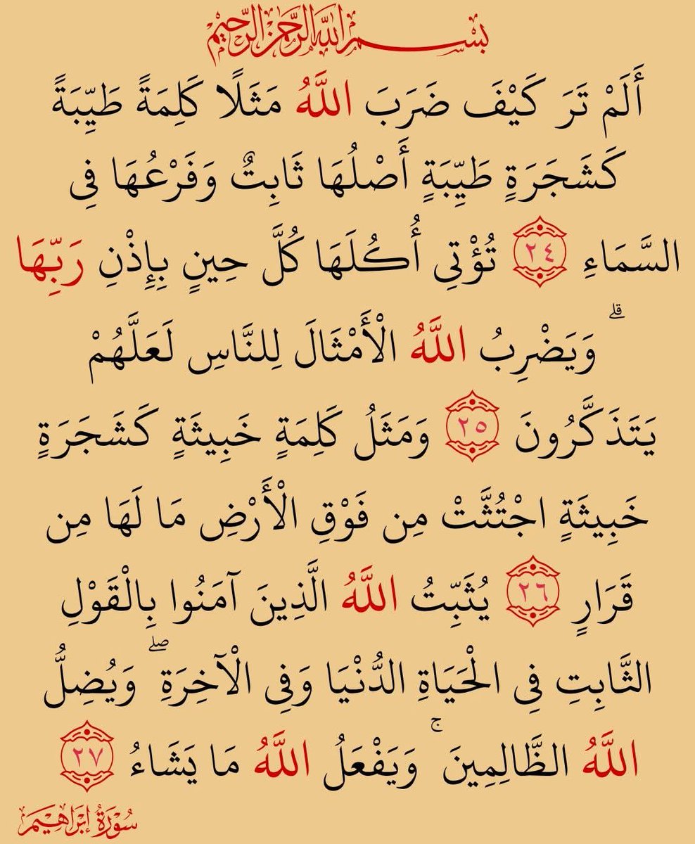 المُصْحَف 🇵🇸 tweet media