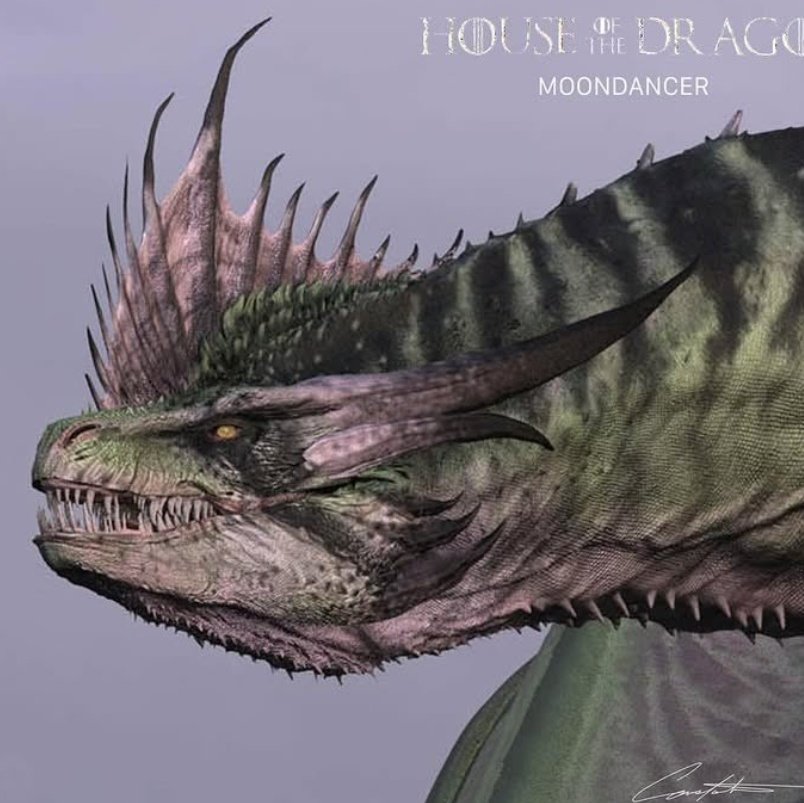 𝓙𝐚𝐜𝐚𝐞𝐫𝐲𝐬 🦢 tweet media