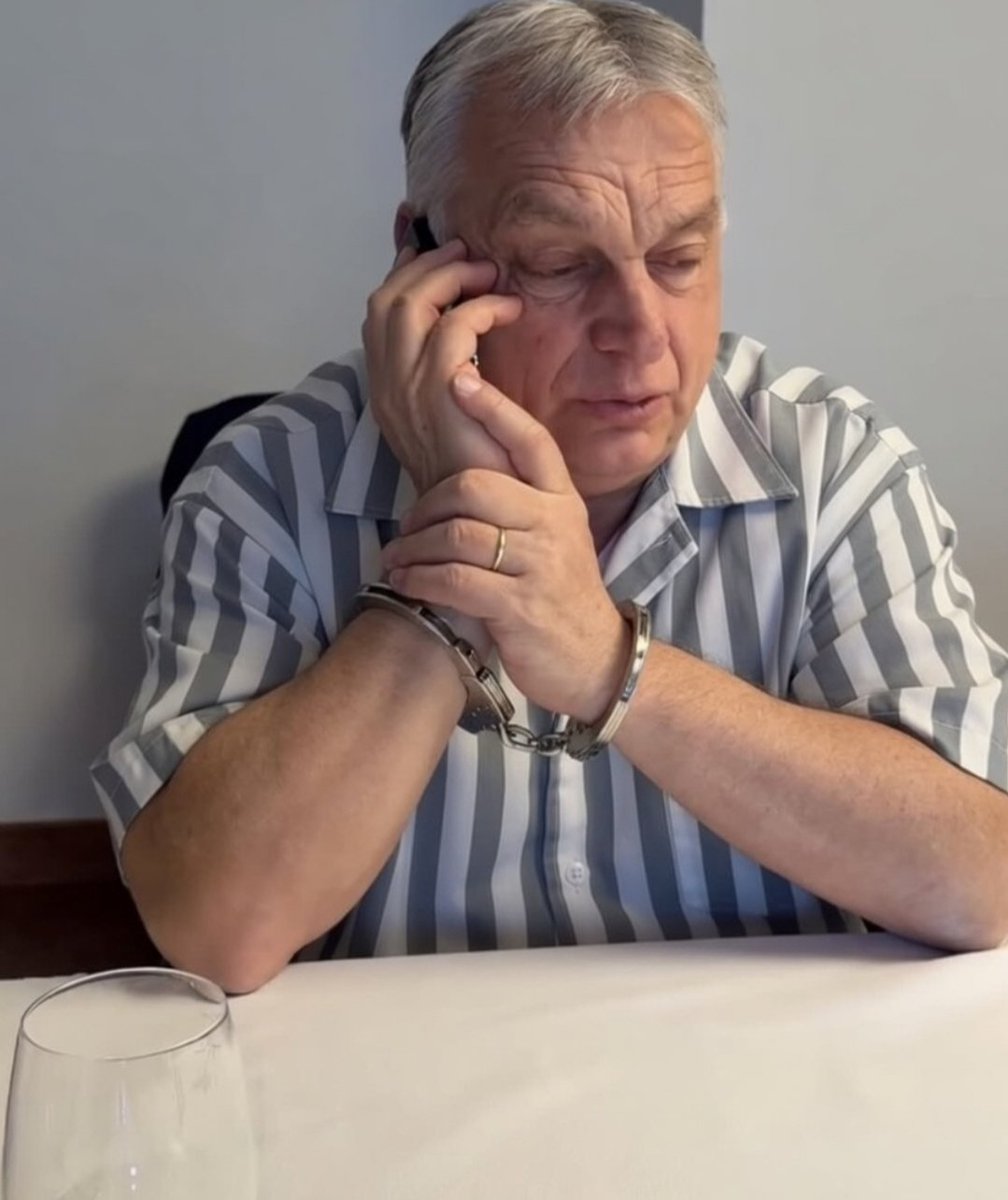 ღmagabiztos macska ღ aka fiya starta tweet media