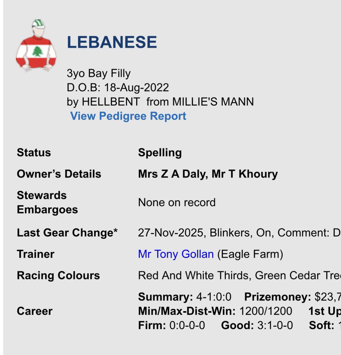 PR🟢VEN Thoroughbreds tweet media