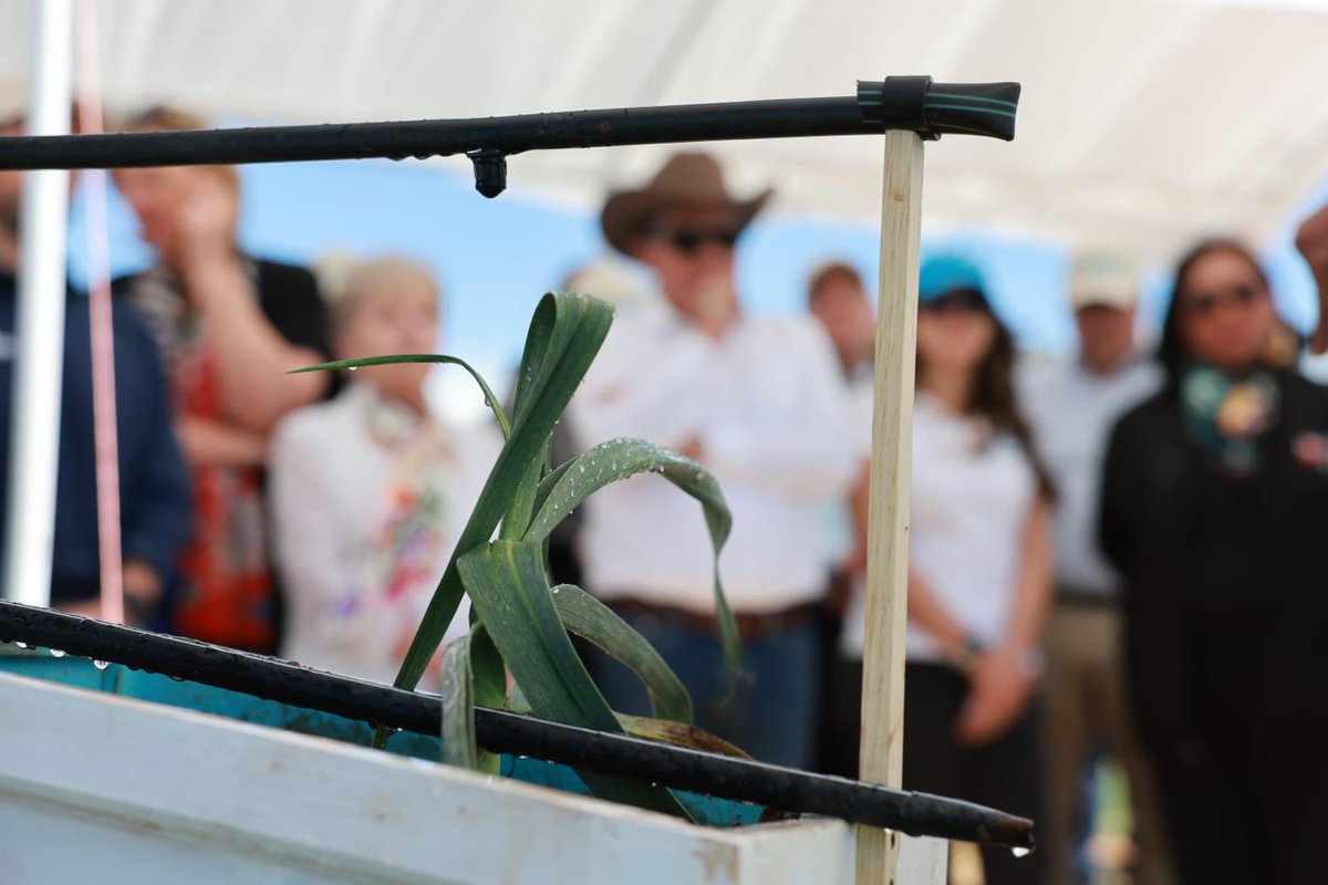 David Monreal Ávila tweet media