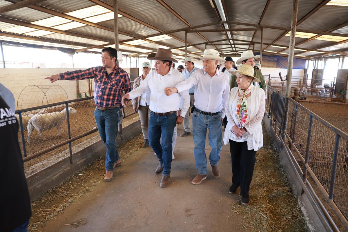 David Monreal Ávila tweet media