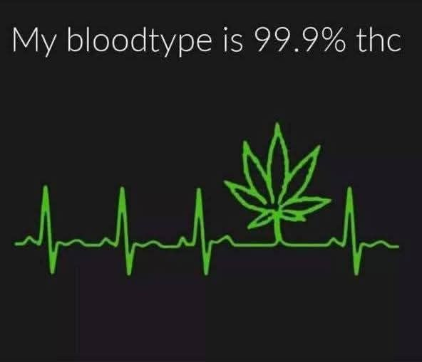 Stoner Jesus™ tweet media