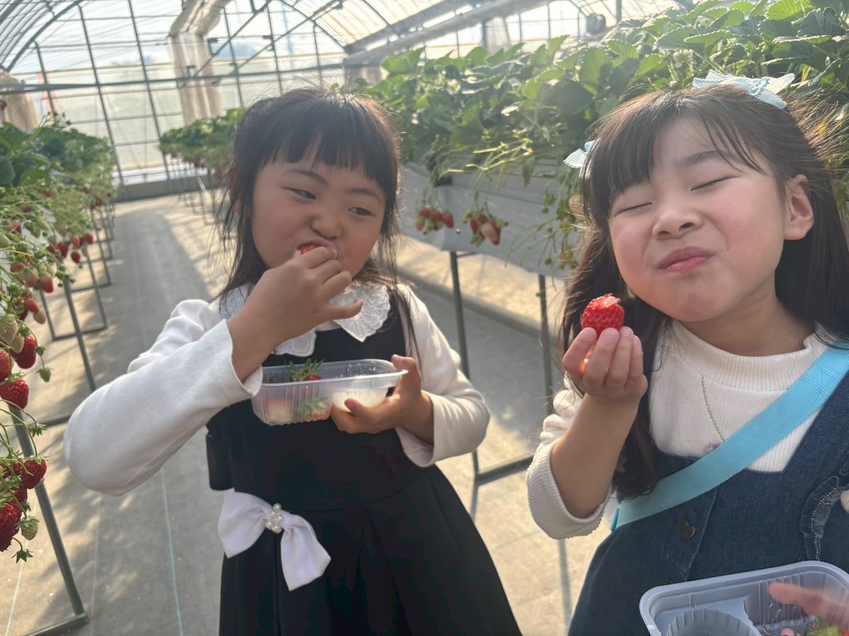 Office KAN tweet media