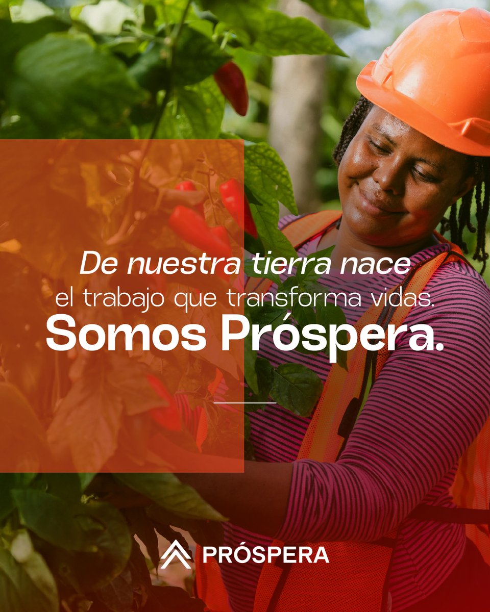 Honduras Próspera tweet media