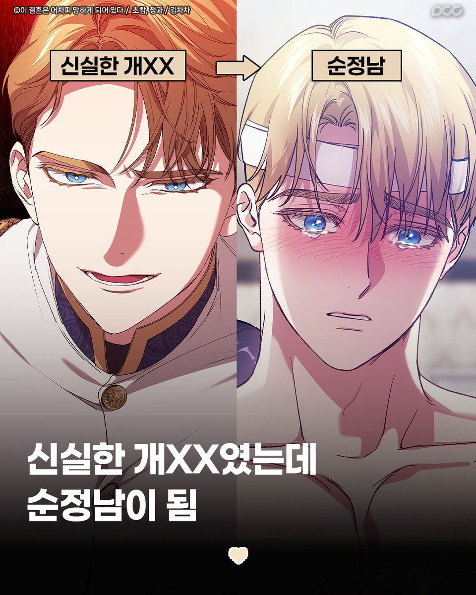 디씨씨이엔티 DCCENT tweet media