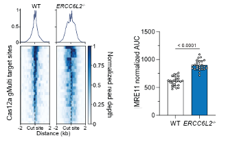 Jacob Corn tweet media
