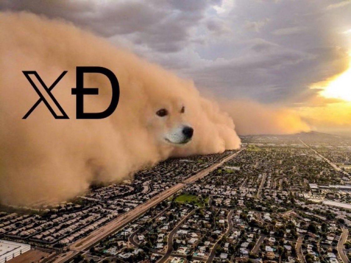 𝕏Ð will change finance forever 🔥