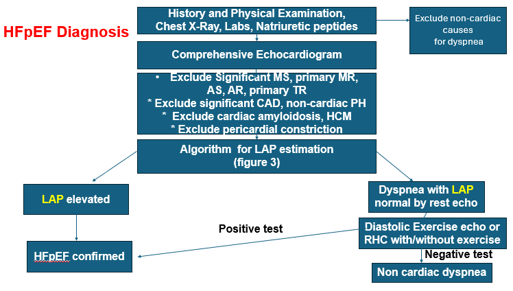 Sherif F Nagueh tweet media