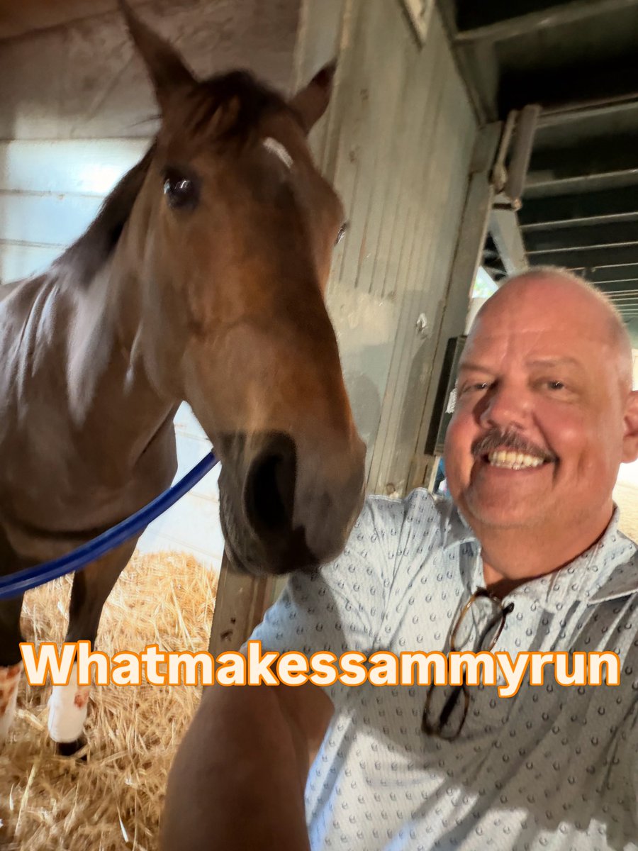 TheDailyDiddy's tweet photo. It’s with frustration &amp; sadness that I  announce the difficult decision to retire “Sammy” with a minor tendon injury. Thank you Tim, Jon, Romero &amp; Walter for taking such great care of him. This is a tough pill to swallow, on multiple fronts, but I’ll always put my horses first. https://t.co/mmQOXGXF4N