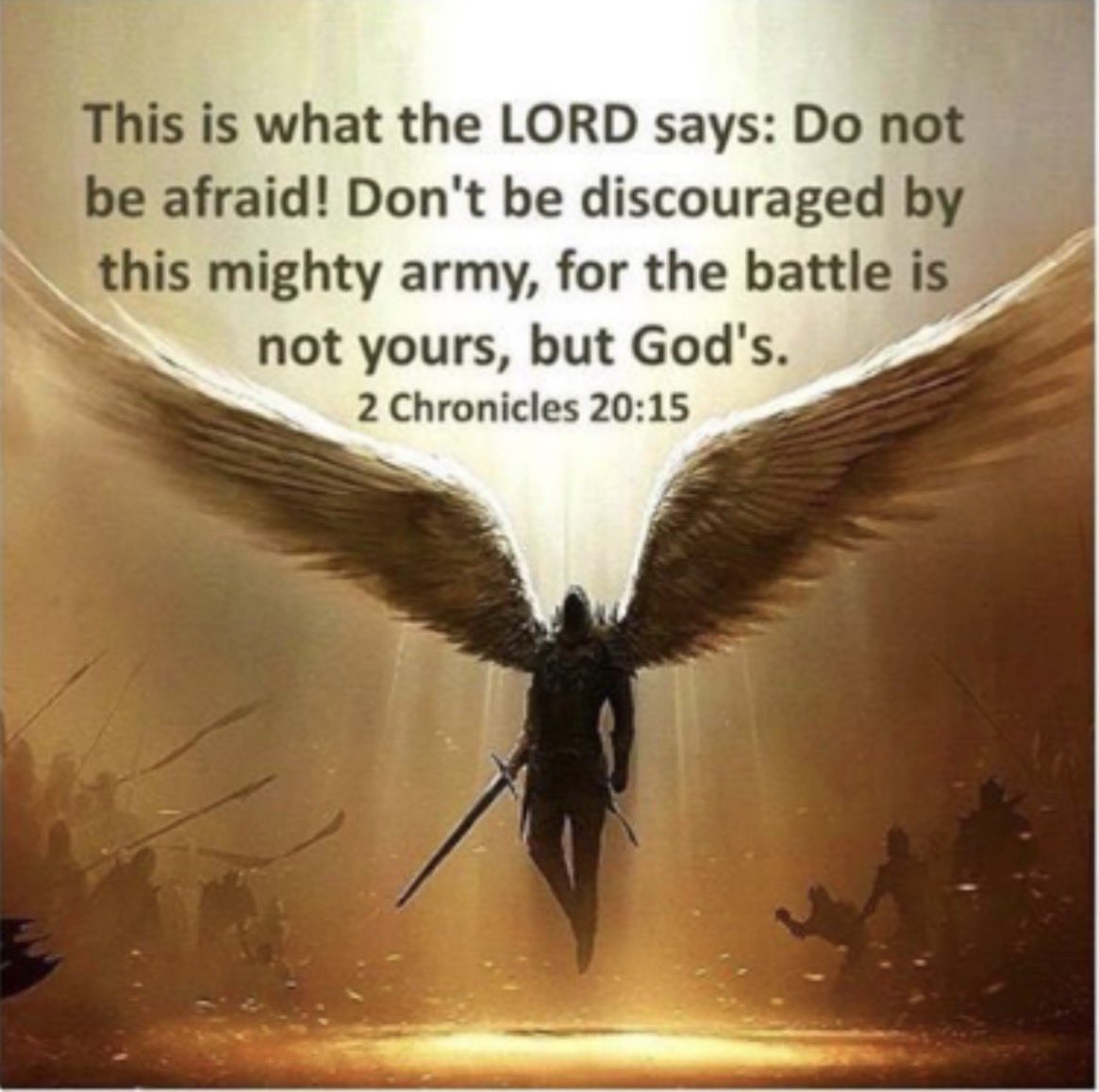 LatieJones ✨🤍✨ tweet media