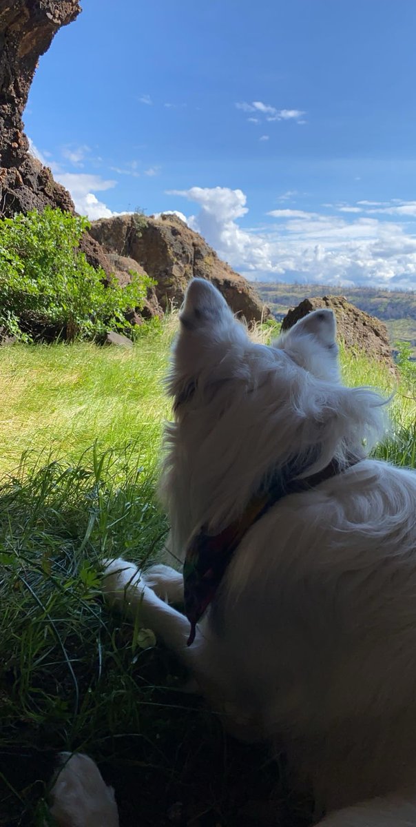 LovinLife tweet media