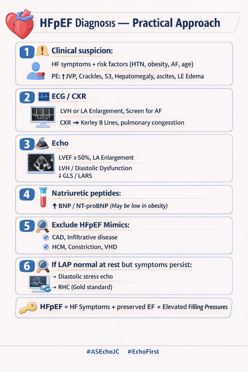 Priscilla Wessly tweet media