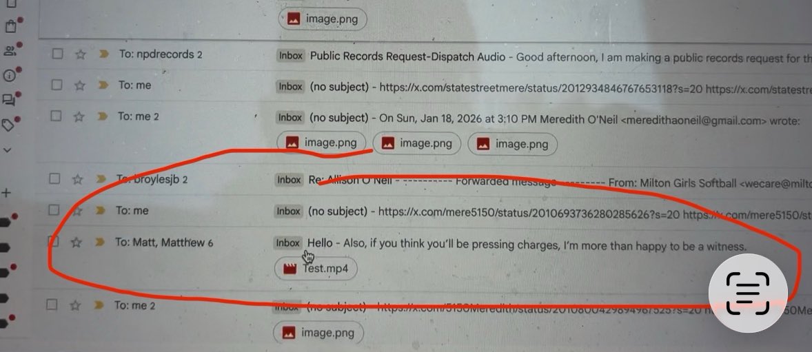 Kristy momo alpaca tweet media