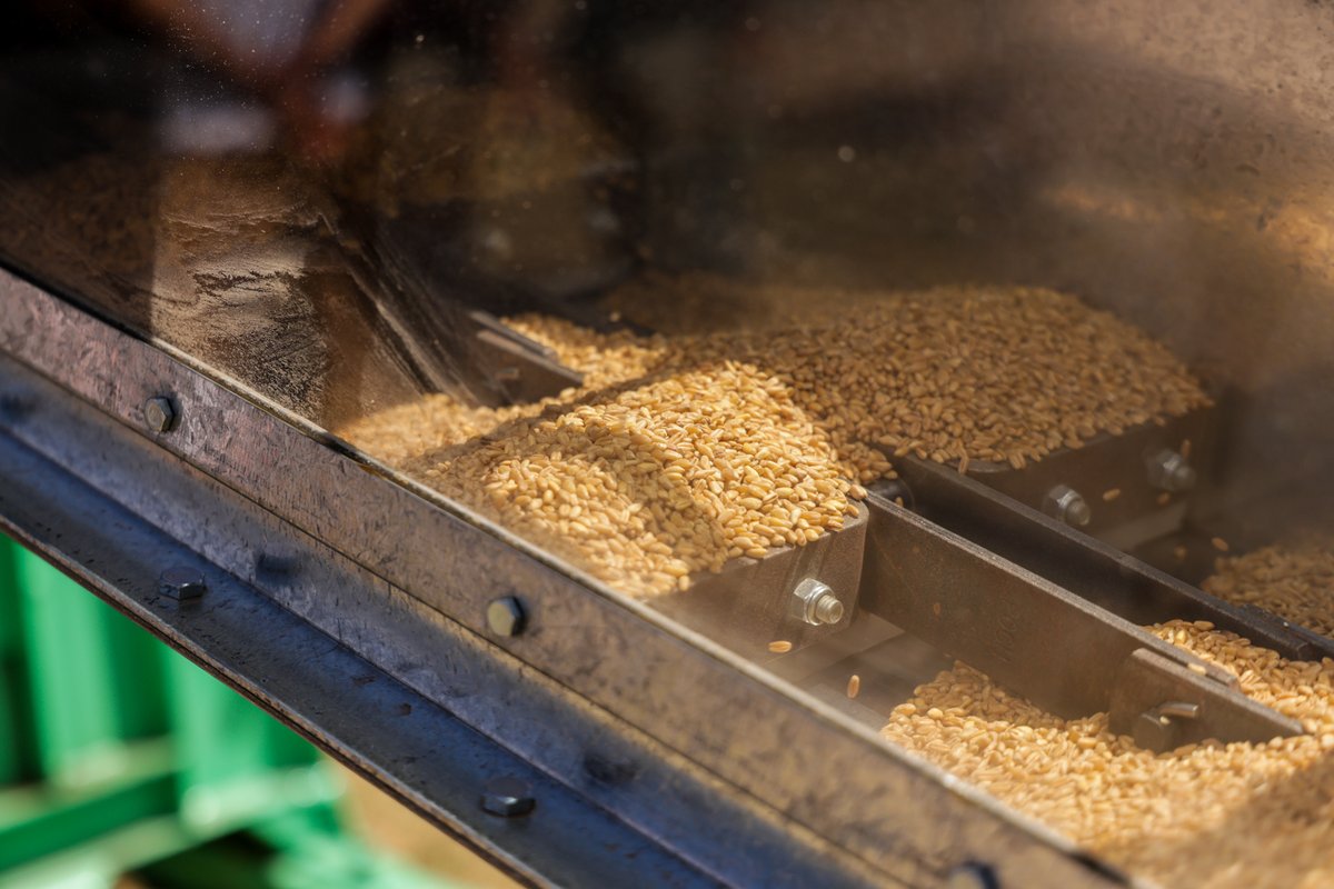 Min. Producción, Ciencia e Innovación Tecnológica tweet media