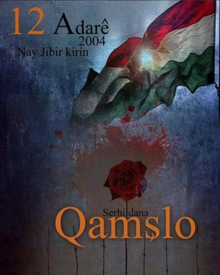 gh☀️ tweet media