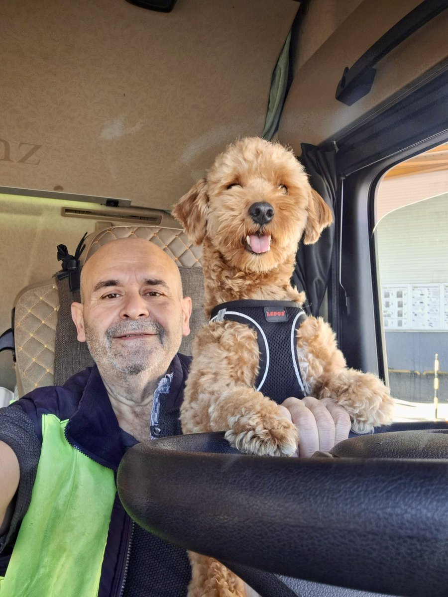 Zeki Kayahan Coşkun tweet media