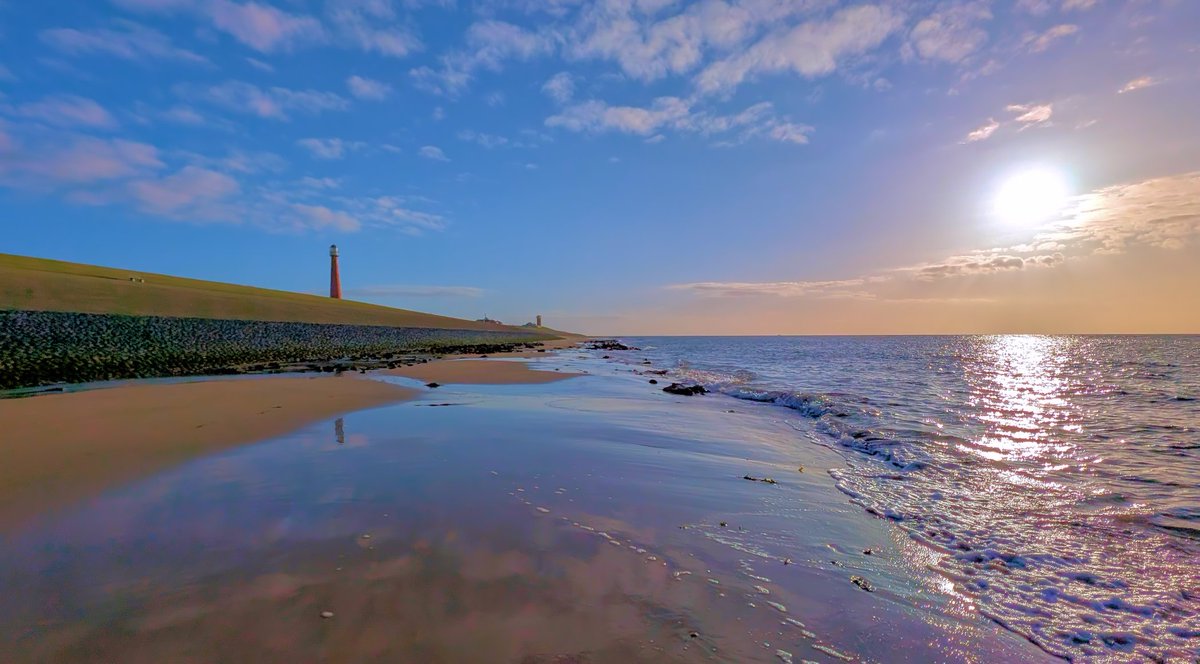 Ed v. Pelt tweet media