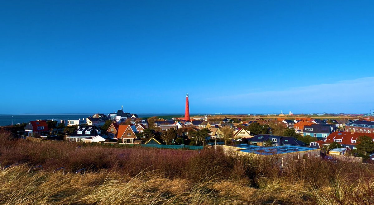 Ed v. Pelt tweet media