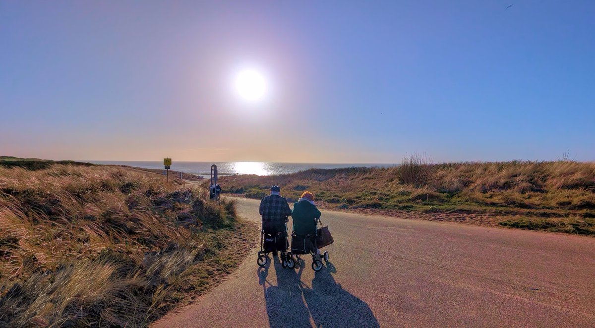 Ed v. Pelt tweet media