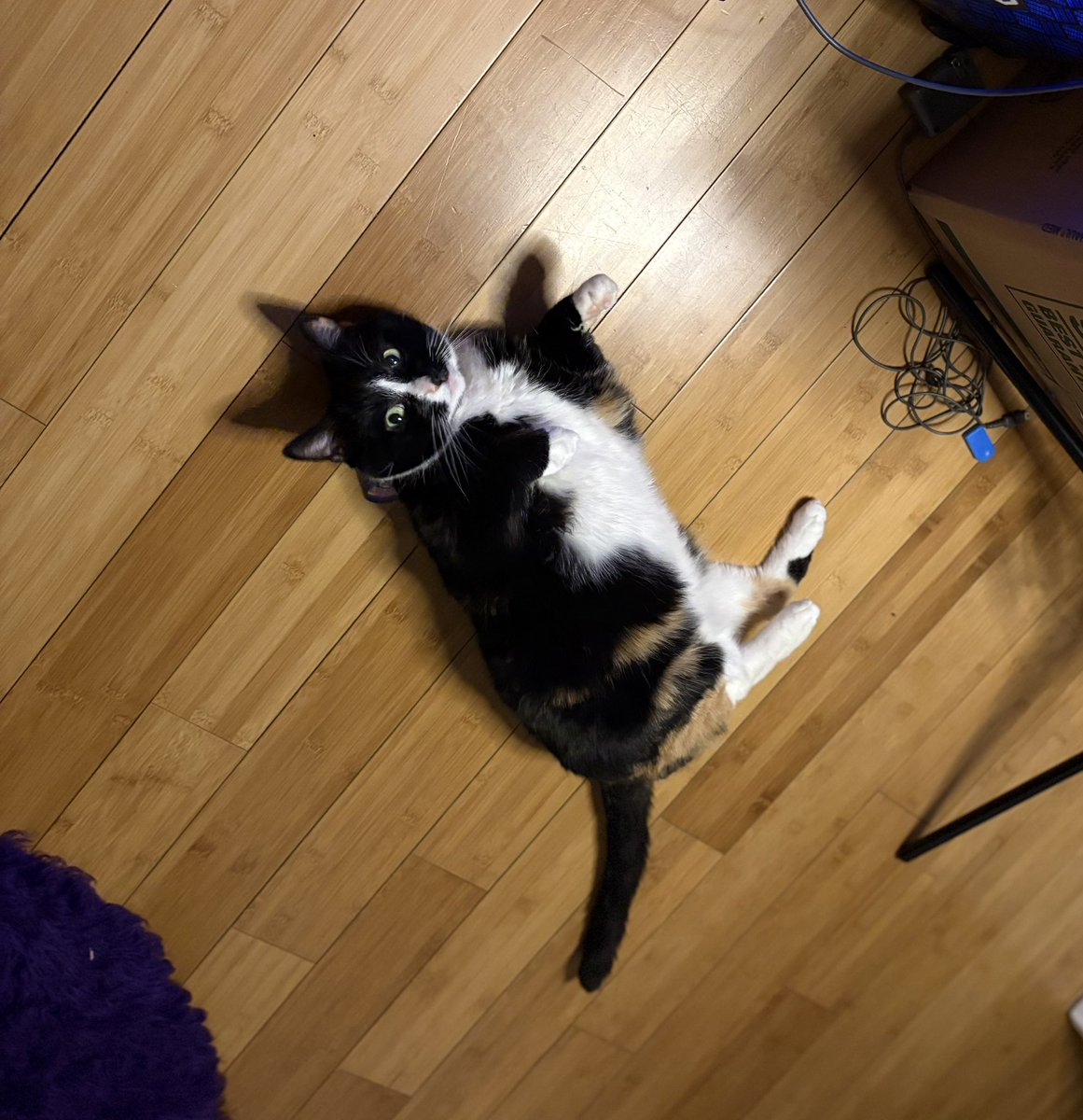 She’s living her best life