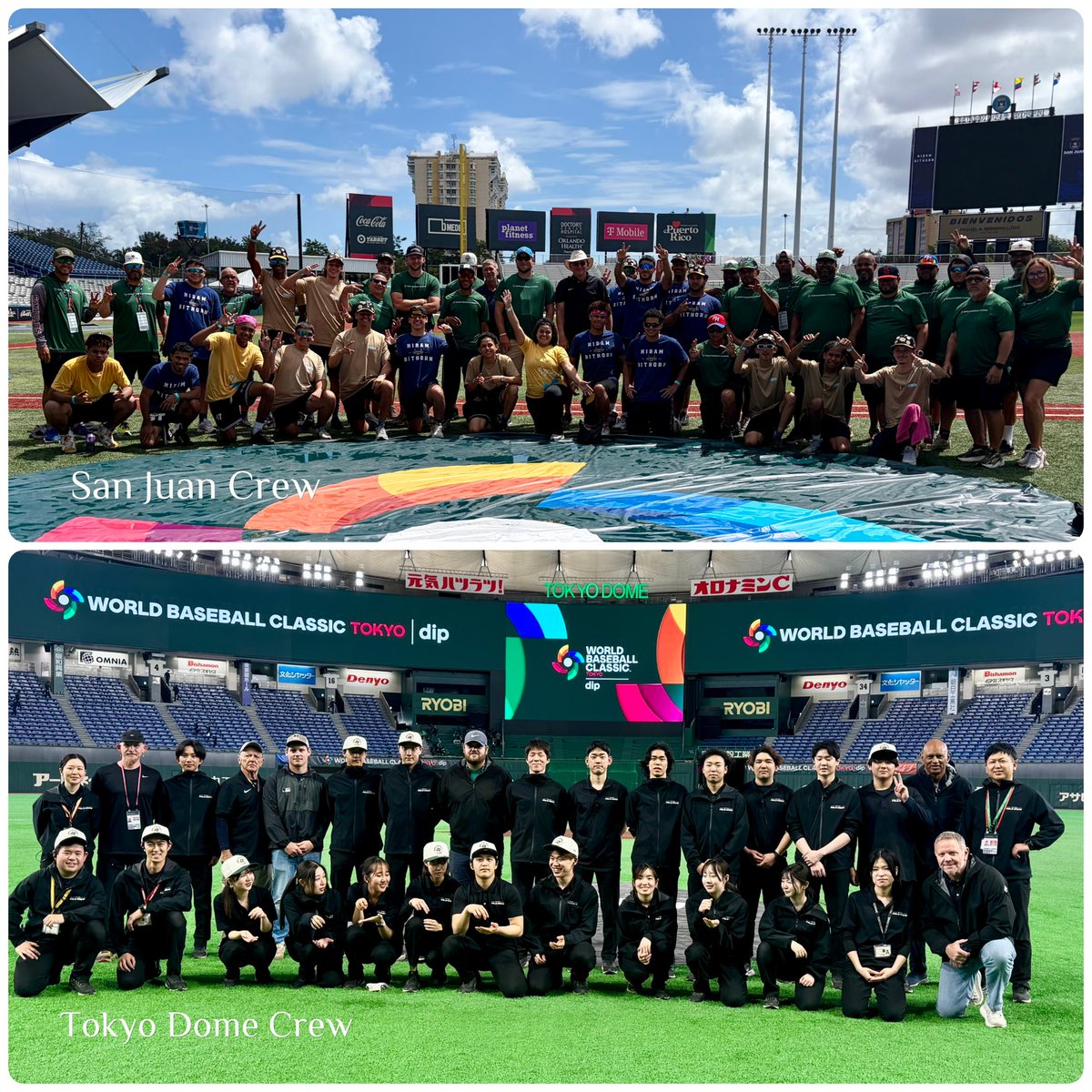 Murray Cook tweet media