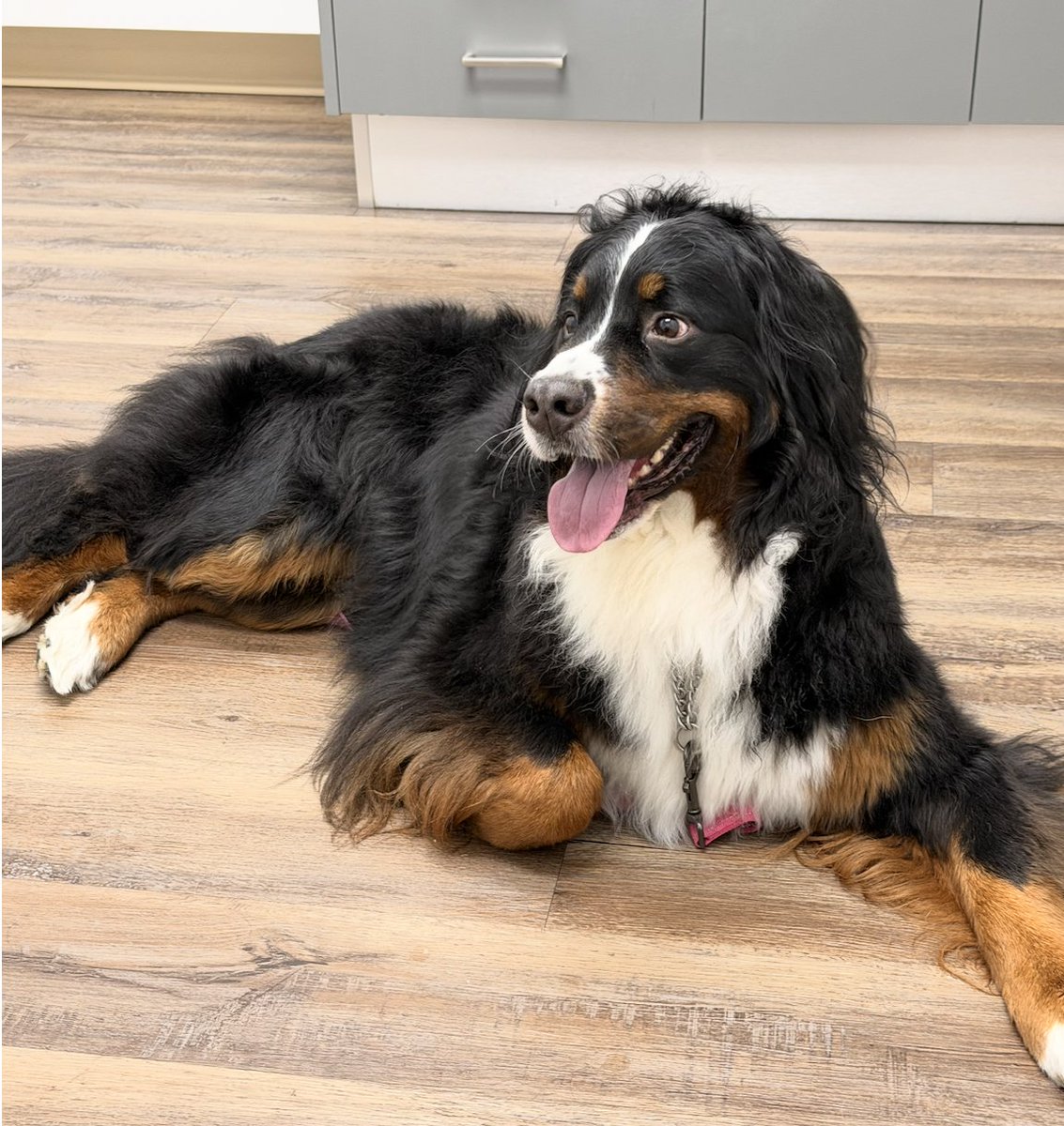 Lisa Bain Ministries tweet media