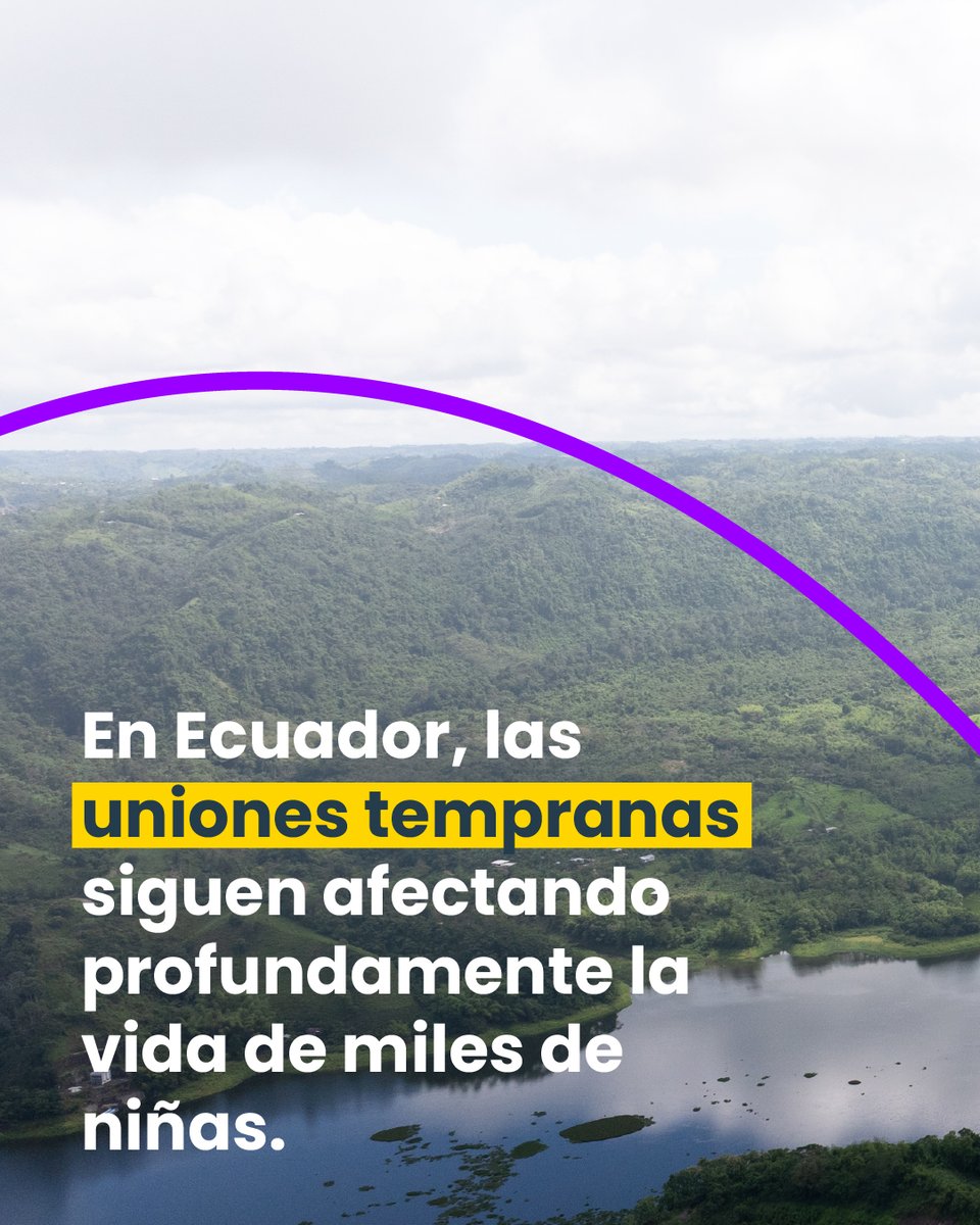 Plan International Ecuador tweet media