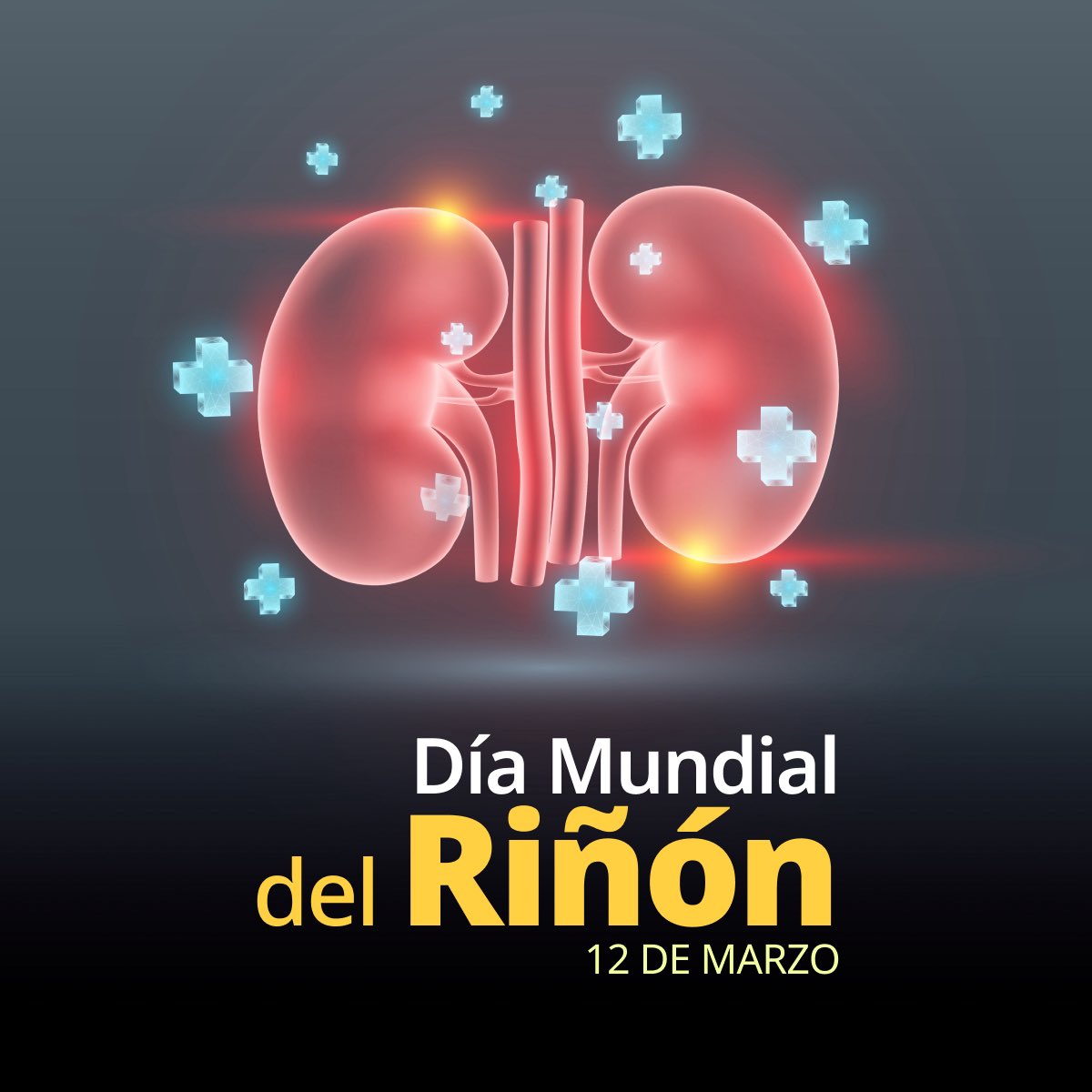 SALUD México tweet media