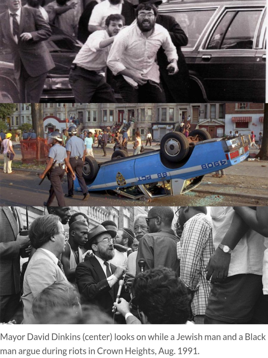 Dr Rahmeh Aladwan tweet media