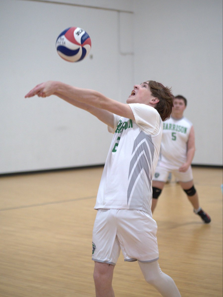 Rally Volleyball tweet media