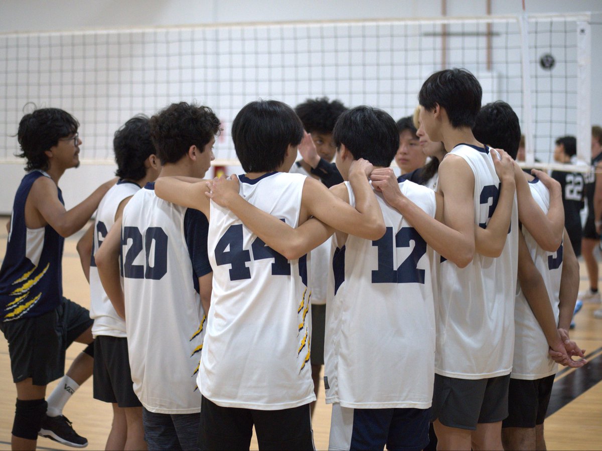 Rally Volleyball tweet media