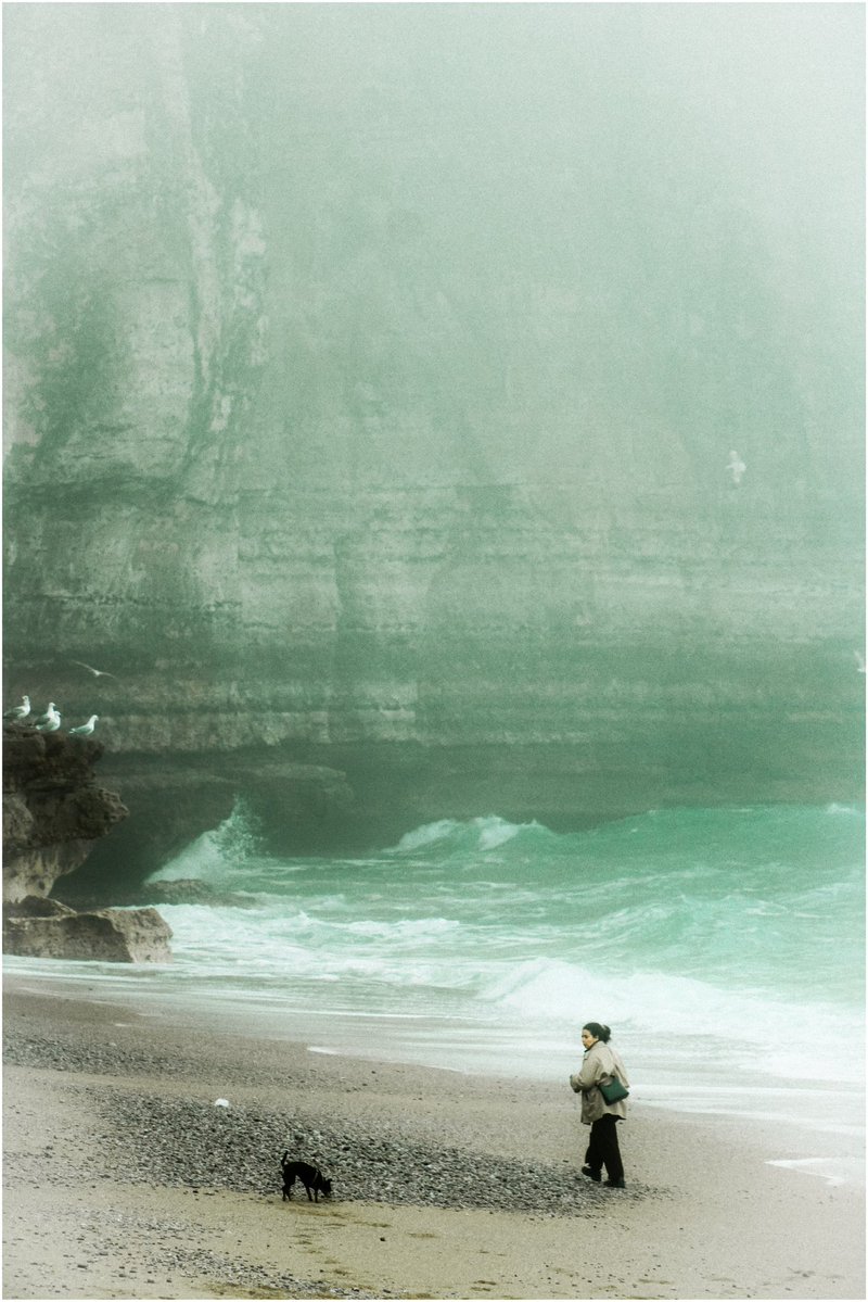 Azélie ≠ ꩜ tweet media