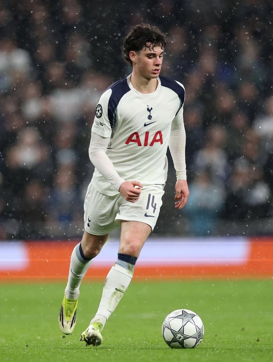 Lilywhite Rose tweet media