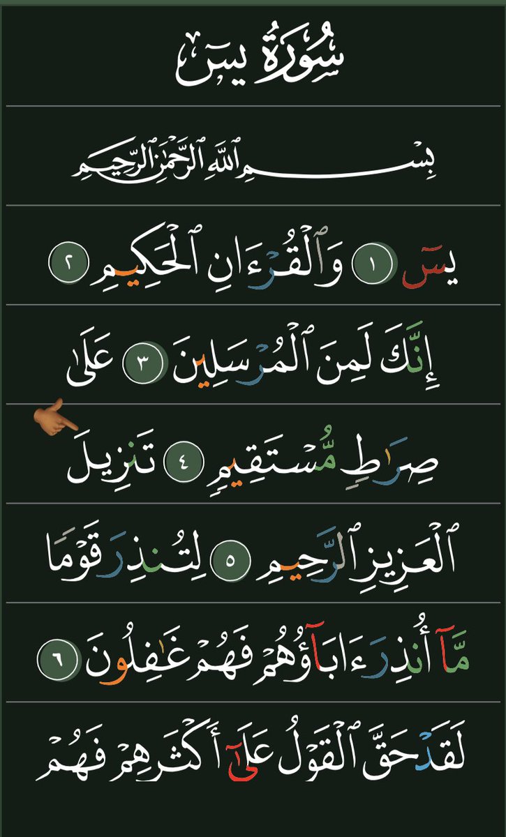 Samy ⭐️⭐️ 🇸🇳 tweet media