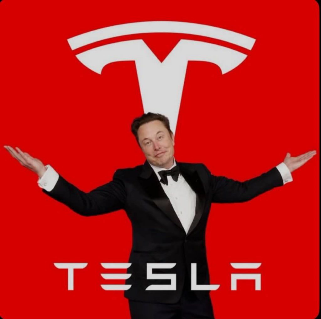 (FAN) ELON MUSK tweet media