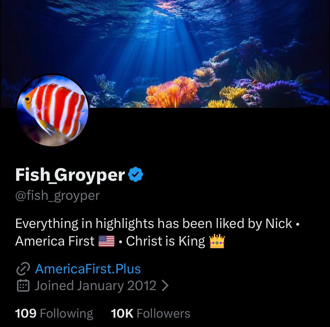 Fish_Groyper tweet media