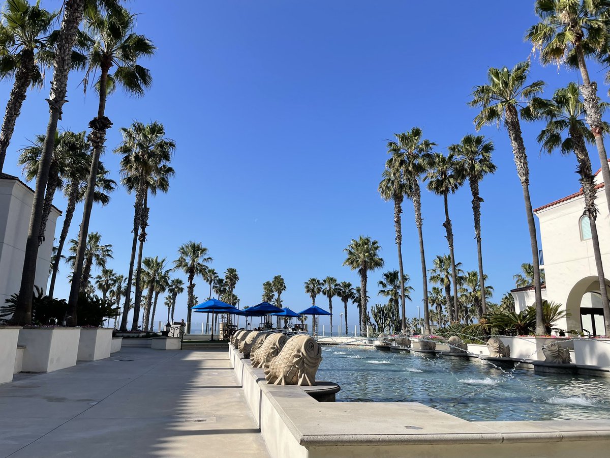 AmannNate's tweet photo. Had a great first experience at #SSR2026! The scenery wasn’t too bad either…☀️🌴

@SSRbone https://t.co/RSLbbK5b9o