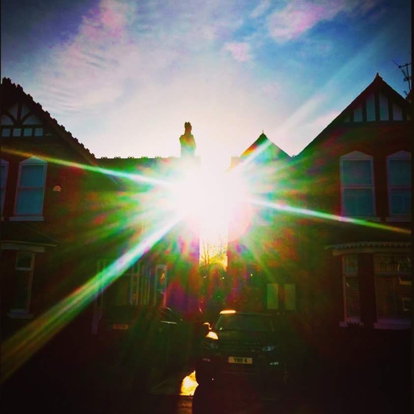 Lisa Dea tweet media