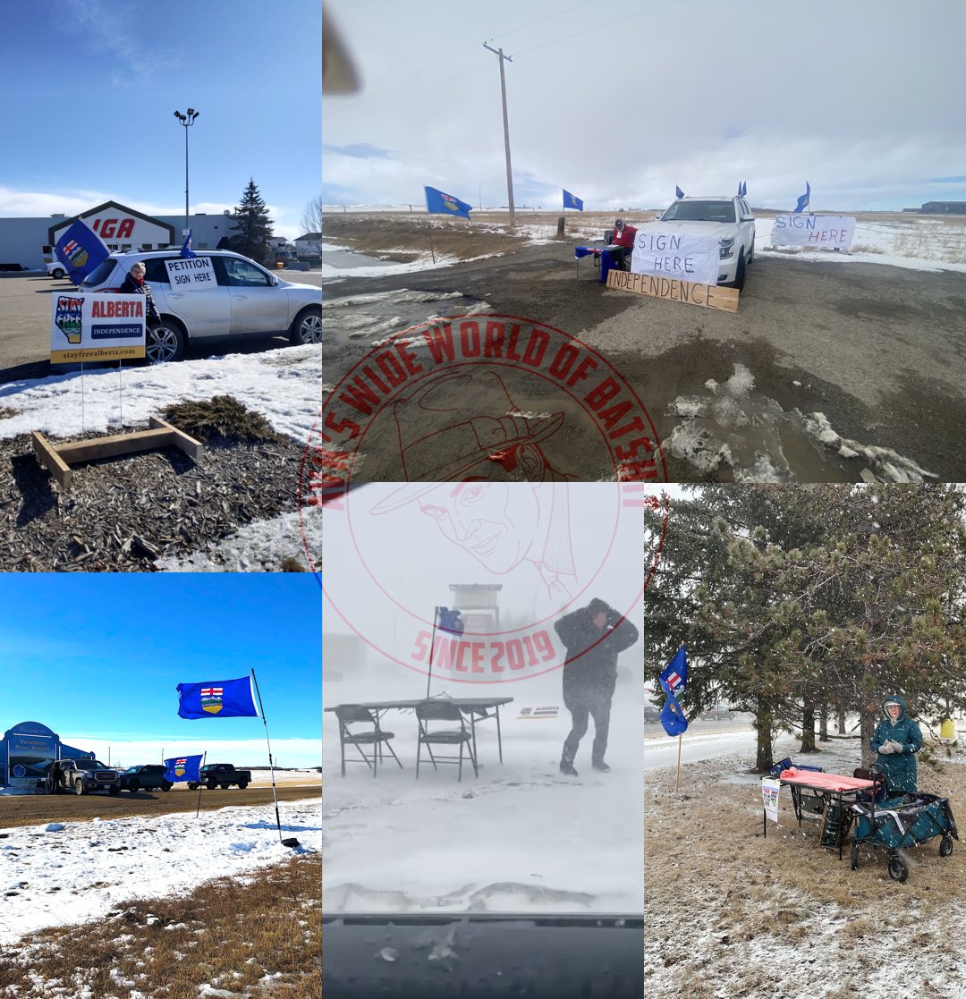 AVK's Wide World of Batshit tweet media