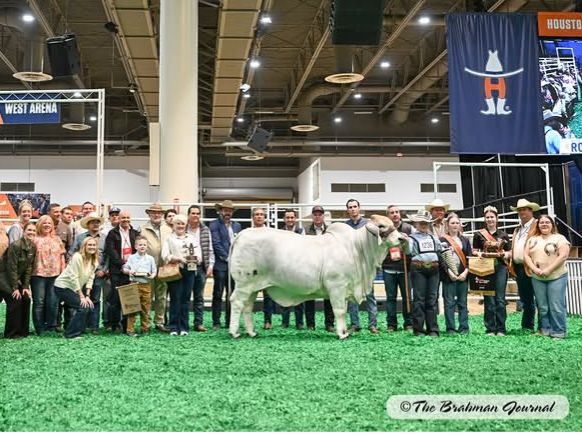 Sur de Bolivar Pasion Ganadera tweet media