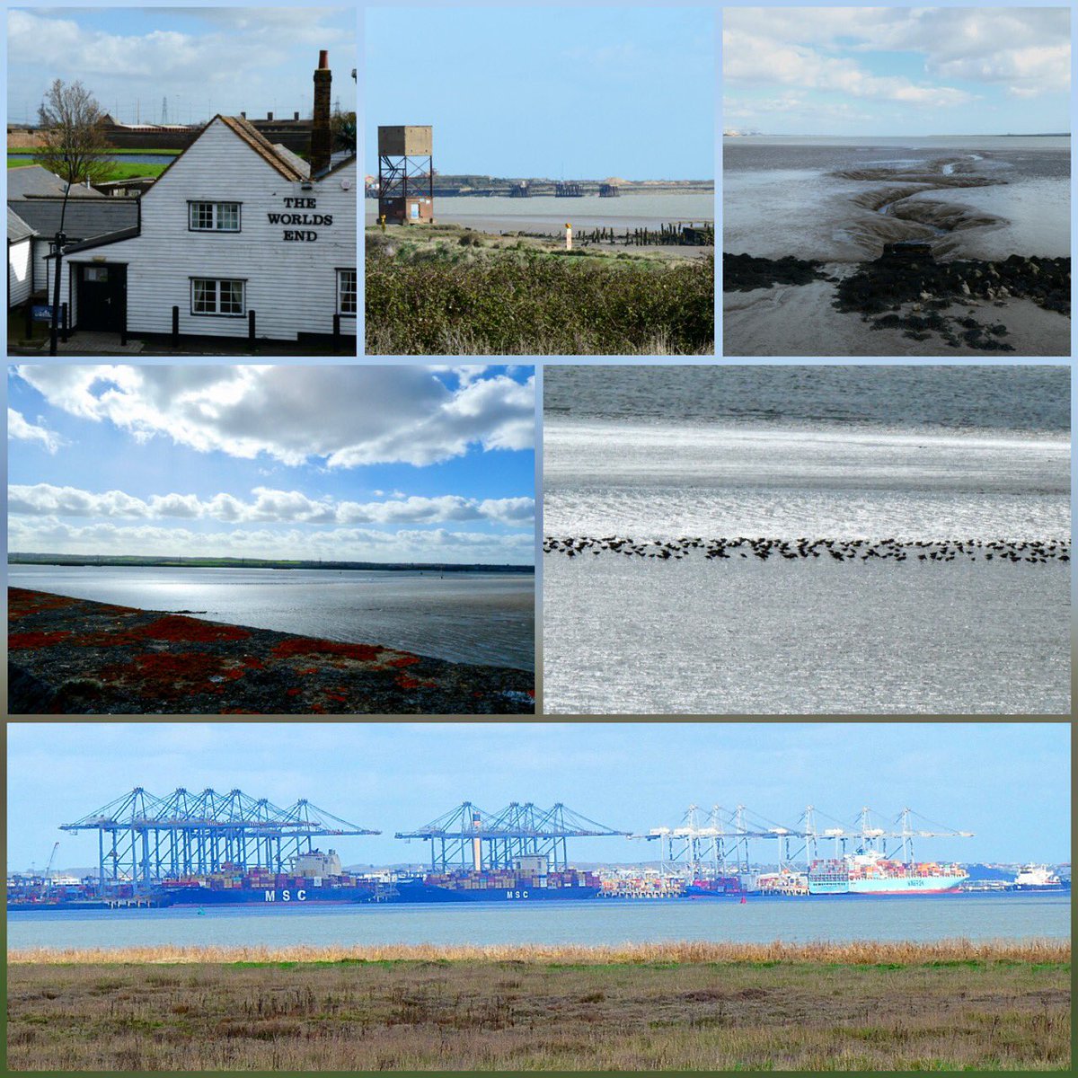 JaneLord68's tweet photo. Inspired by @fugueur @RachelLichtenst Iain Sinclair and recently reading @JLewisStempel a trip to the north side of the  Thames estuary was required. A glorious day to stroll from Tilbury Town to Stanford Le Hope. https://t.co/XjtygAeWua