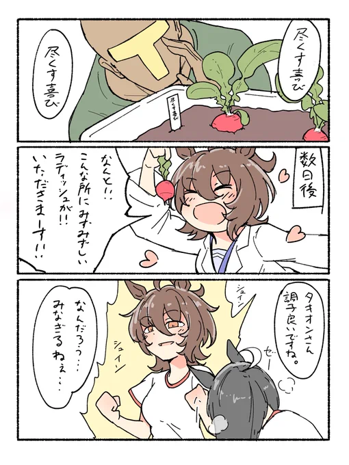 タキTの家庭菜園 