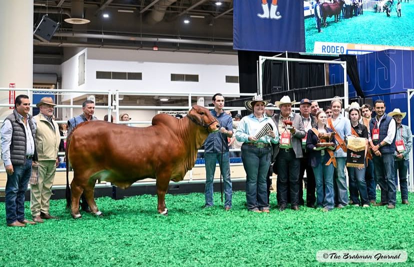 Sur de Bolivar Pasion Ganadera tweet media