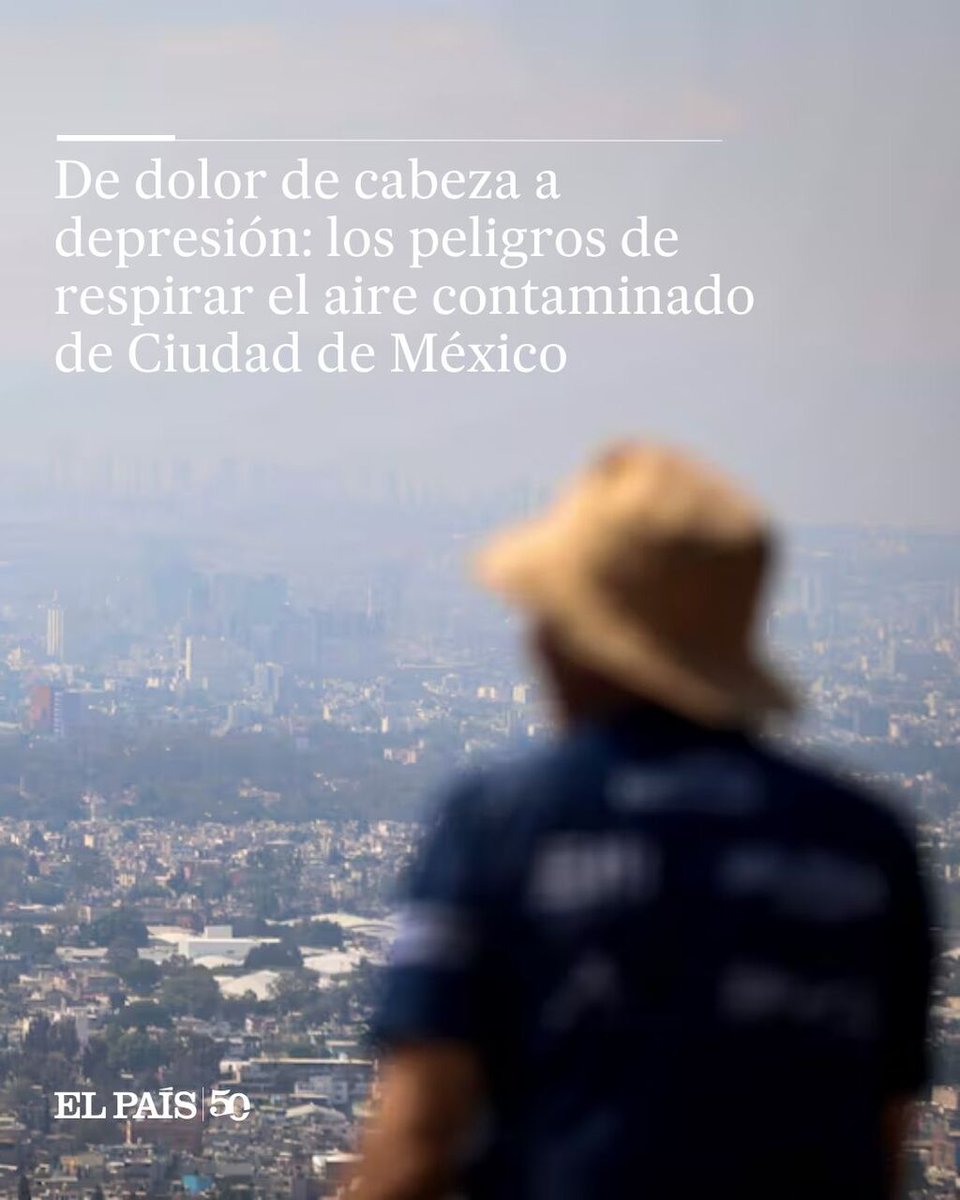 EL PAÍS América tweet media