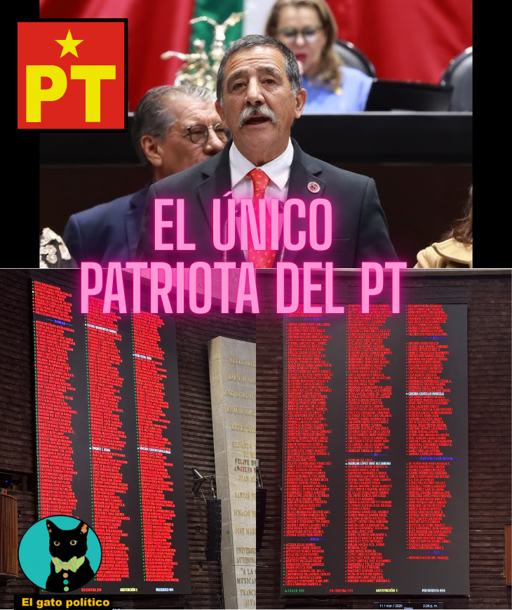 El gato político tweet media