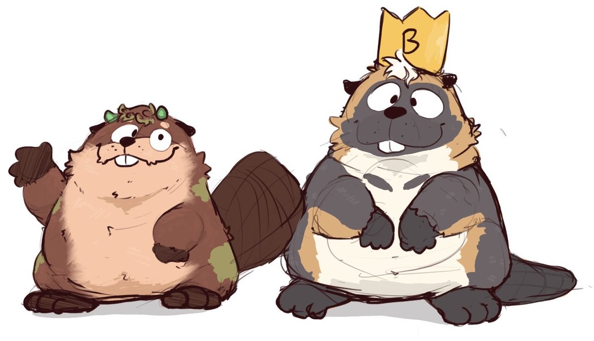 ✨️KumaDog✨️🔜TFF tweet media