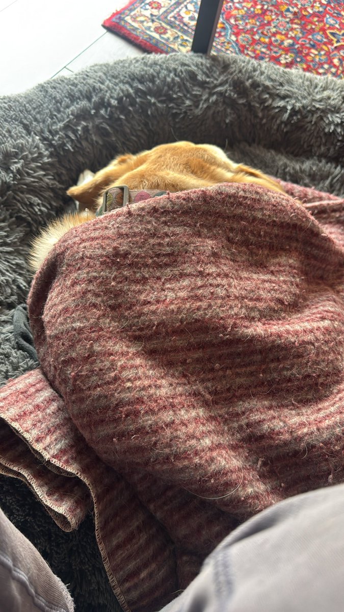 LUPITAMARTINEZA✌🏼 tweet media